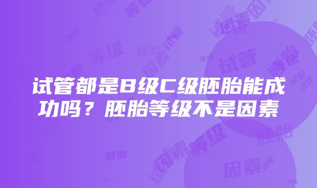 试管都是B级C级胚胎能成功吗？胚胎等级不是因素