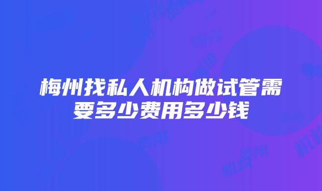 梅州找私人机构做试管需要多少费用多少钱