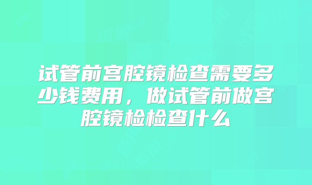 试管前宫腔镜检查需要多少钱费用，做试管前做宫腔镜检检查什么