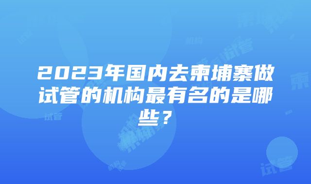 2023年国内去柬埔寨做试管的机构最有名的是哪些？