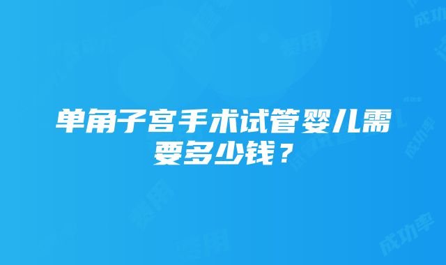 单角子宫手术试管婴儿需要多少钱？