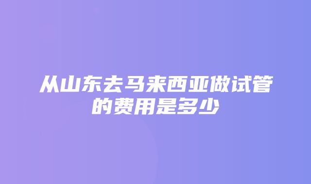 从山东去马来西亚做试管的费用是多少