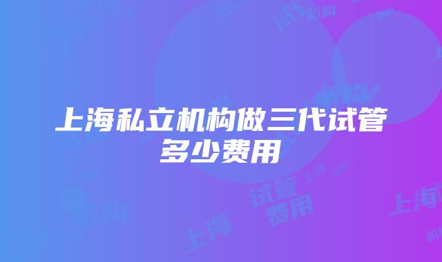 上海私立机构做三代试管多少费用