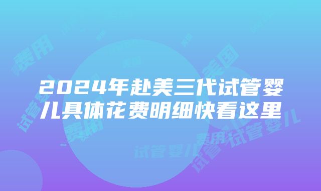 2024年赴美三代试管婴儿具体花费明细快看这里