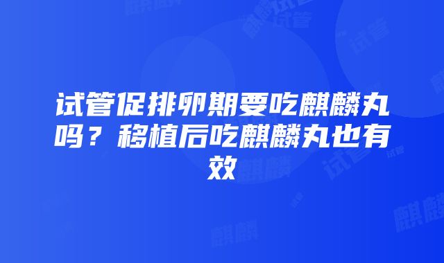 试管促排卵期要吃麒麟丸吗？移植后吃麒麟丸也有效