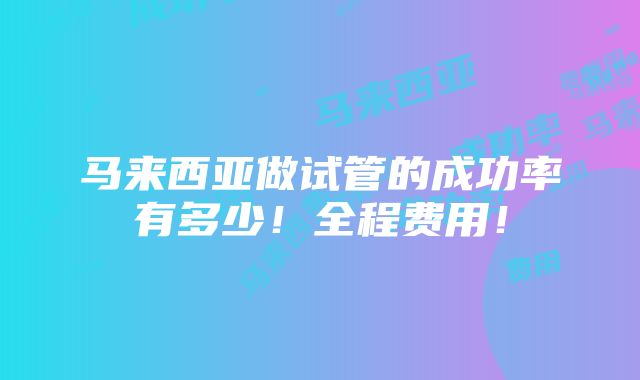 马来西亚做试管的成功率有多少！全程费用！