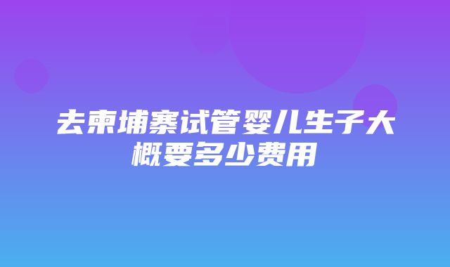 去柬埔寨试管婴儿生子大概要多少费用