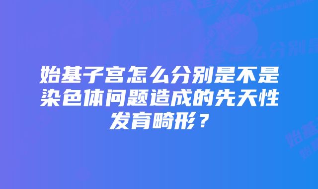 始基子宫怎么分别是不是染色体问题造成的先天性发育畸形？