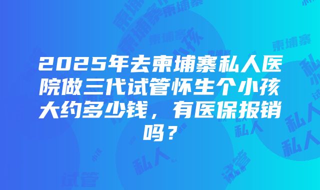 2025年去柬埔寨私人医院做三代试管怀生个小孩大约多少钱，有医保报销吗？