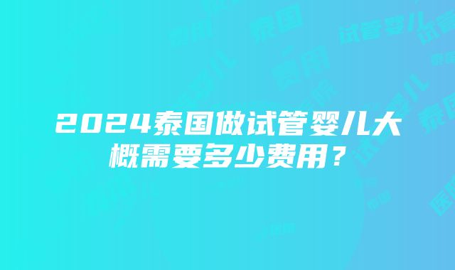 2024泰国做试管婴儿大概需要多少费用？