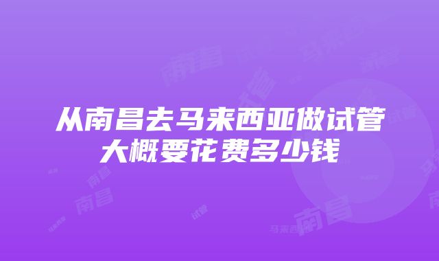 从南昌去马来西亚做试管大概要花费多少钱