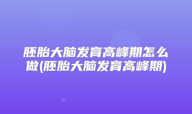 胚胎大脑发育高峰期怎么做(胚胎大脑发育高峰期)