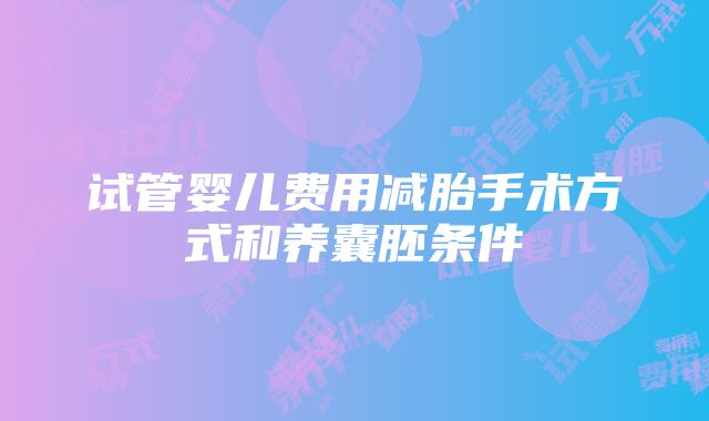 试管婴儿费用减胎手术方式和养囊胚条件