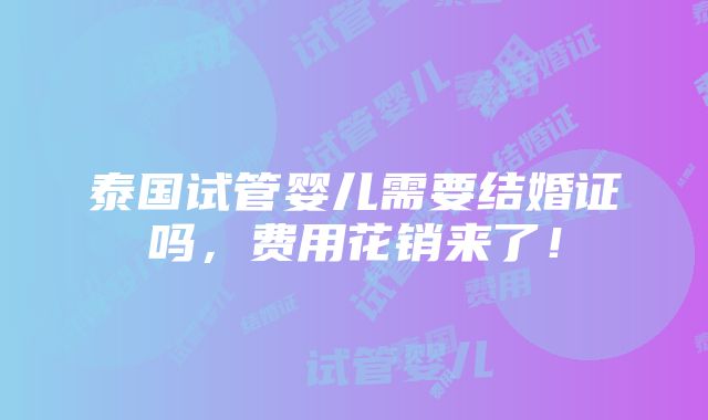 泰国试管婴儿需要结婚证吗，费用花销来了！