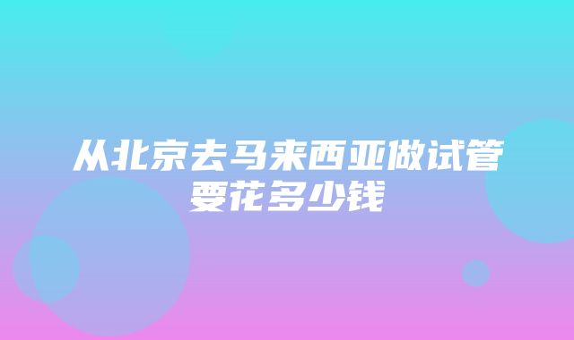 从北京去马来西亚做试管要花多少钱