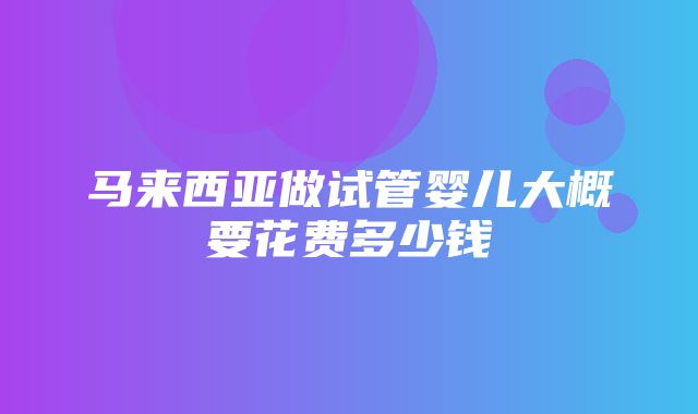 马来西亚做试管婴儿大概要花费多少钱