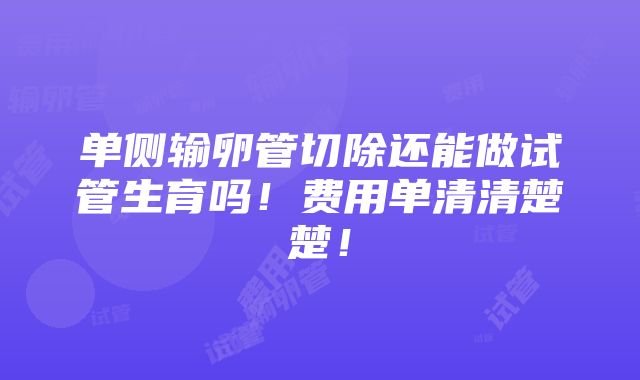 单侧输卵管切除还能做试管生育吗！费用单清清楚楚！