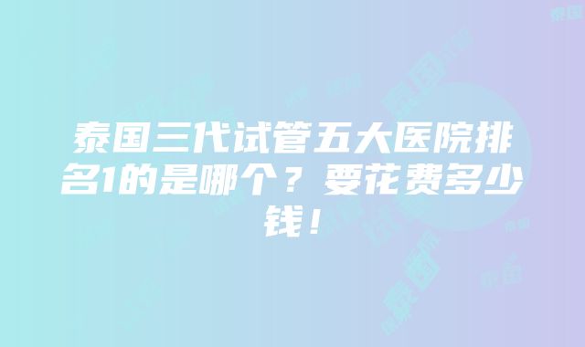 泰国三代试管五大医院排名1的是哪个？要花费多少钱！