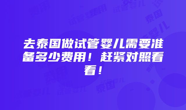 去泰国做试管婴儿需要准备多少费用！赶紧对照看看！