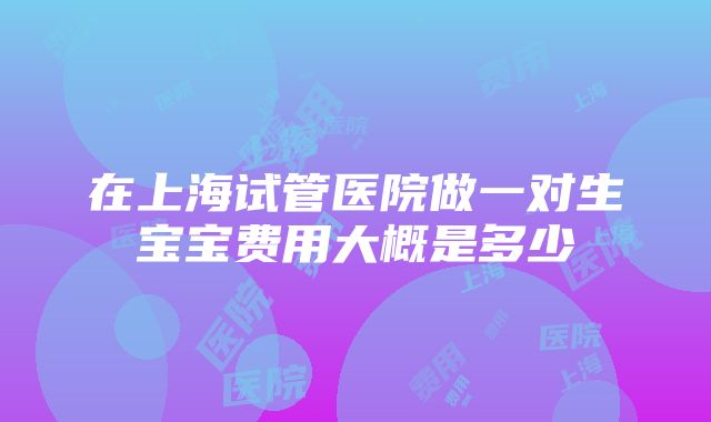 在上海试管医院做一对生宝宝费用大概是多少