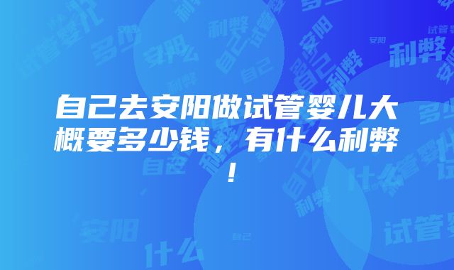 自己去安阳做试管婴儿大概要多少钱，有什么利弊！