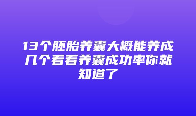 13个胚胎养囊大概能养成几个看看养囊成功率你就知道了