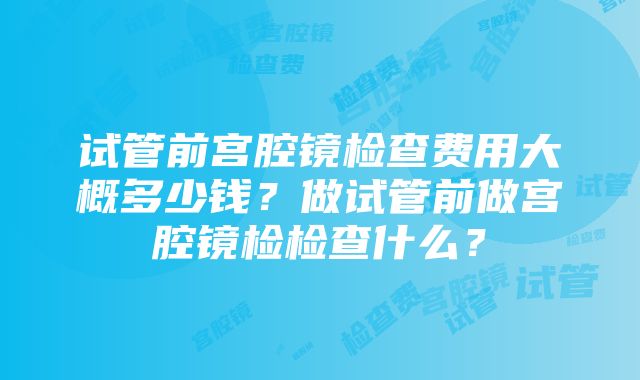 试管前宫腔镜检查费用大概多少钱？做试管前做宫腔镜检检查什么？