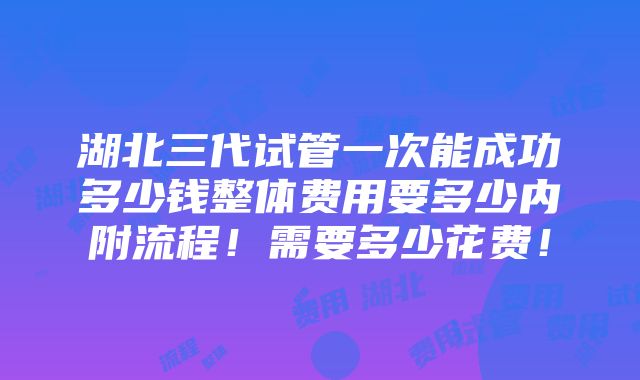 湖北三代试管一次能成功多少钱整体费用要多少内附流程！需要多少花费！