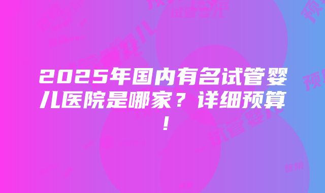 2025年国内有名试管婴儿医院是哪家？详细预算！