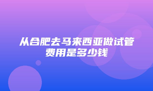 从合肥去马来西亚做试管费用是多少钱