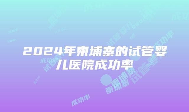 2024年柬埔寨的试管婴儿医院成功率