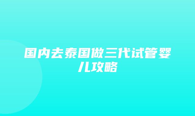 国内去泰国做三代试管婴儿攻略