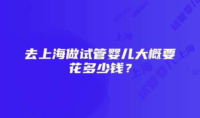 去上海做试管婴儿大概要花多少钱？