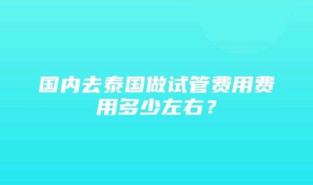 国内去泰国做试管费用费用多少左右？