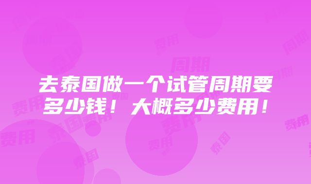 去泰国做一个试管周期要多少钱！大概多少费用！