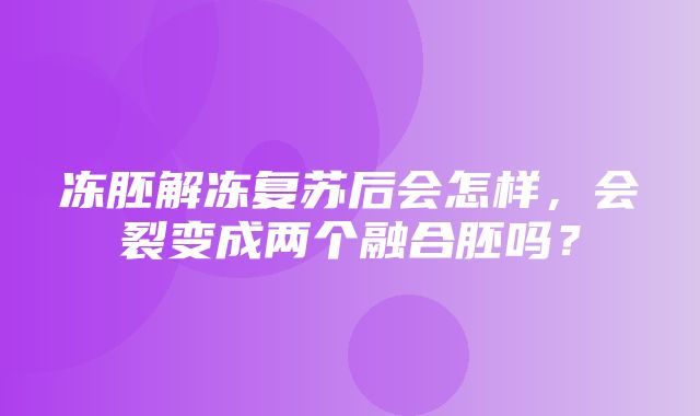 冻胚解冻复苏后会怎样，会裂变成两个融合胚吗？