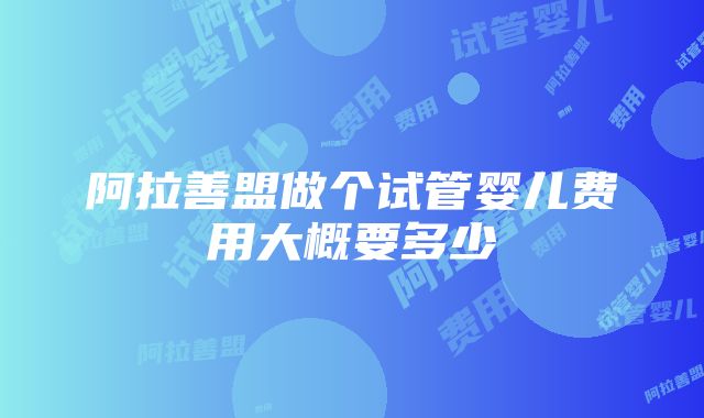 阿拉善盟做个试管婴儿费用大概要多少