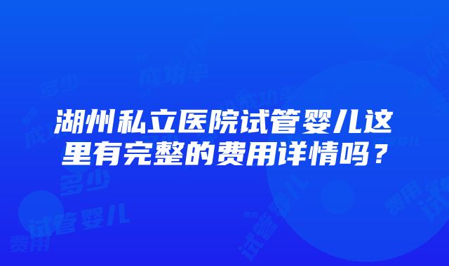 湖州私立医院试管婴儿这里有完整的费用详情吗？