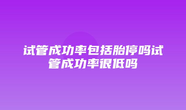 试管成功率包括胎停吗试管成功率很低吗