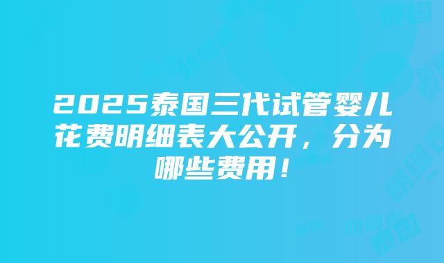 2025泰国三代试管婴儿花费明细表大公开，分为哪些费用！