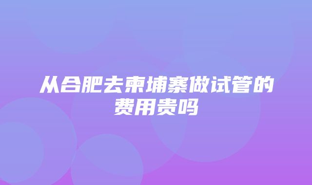 从合肥去柬埔寨做试管的费用贵吗