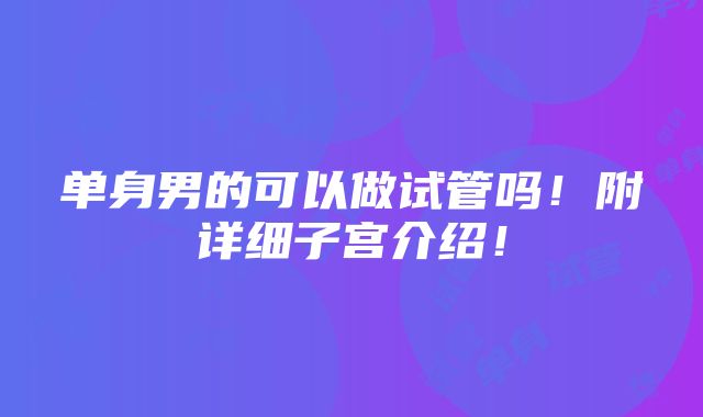 单身男的可以做试管吗！附详细子宫介绍！