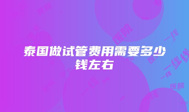 泰国做试管费用需要多少钱左右