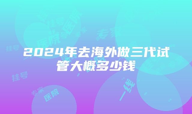 2024年去海外做三代试管大概多少钱