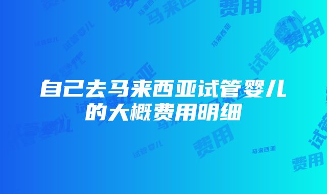 自己去马来西亚试管婴儿的大概费用明细