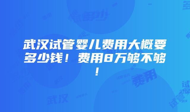 武汉试管婴儿费用大概要多少钱！费用8万够不够！