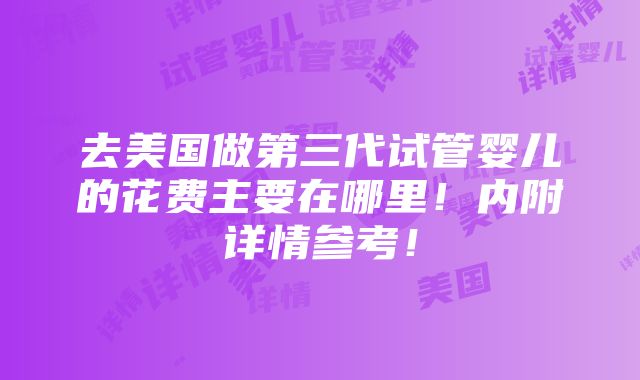 去美国做第三代试管婴儿的花费主要在哪里！内附详情参考！