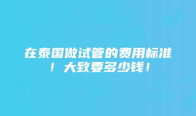 在泰国做试管的费用标准！大致要多少钱！