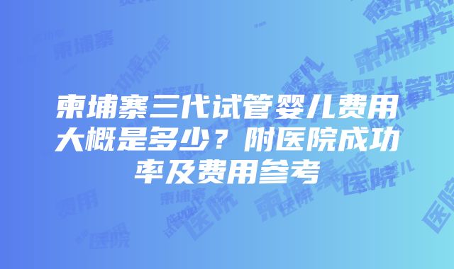 柬埔寨三代试管婴儿费用大概是多少？附医院成功率及费用参考