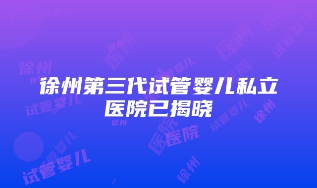 徐州第三代试管婴儿私立医院已揭晓